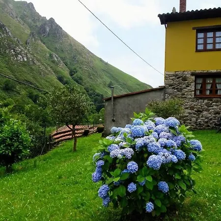 Casa Albina *