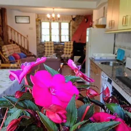 Casa Albina Holiday home