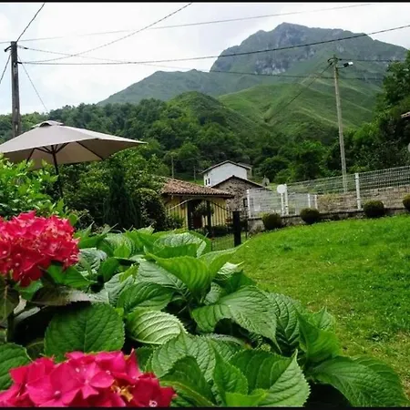 Casa Albina *